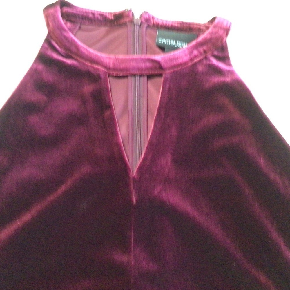 Cynthia Rowley Velvet Sleeveless Cut Out Mini Dress Burgundy Small - Picture 5 of 10